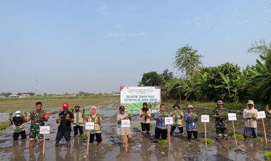 Koramil 0815/01 Pralon Bersama Petani Perkuat Ketahanan Pangan Lewat Gerakan Tanam Padi Serentak